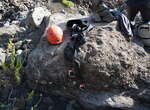 Fogo Pico Klettersteig : Helm, Sicherungsgurt und Klettersteigset in gutem Zustand, der Guide Joao war hoch kompetent und sehr angenehm.