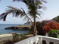 Santiago: Blick über Palmen und blühende Bäume mit Meer im Hintergrund