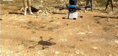 Screenshot der BB-Berichterstattung über Erico Pnheiro