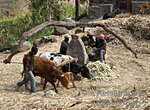 Santiago - Tabugal - Trapiche