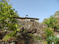 Santo Antão:  Figueira de Paul