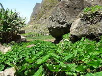 Santo Antão: Natur im Paultal