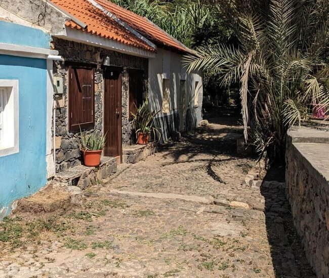 Gepflasterte Gasse zwischen Häusern und Palmen in Cidade Velha