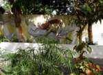 Kapverdische Insel Brava - Wanderwoche Vila Nova Sintra -